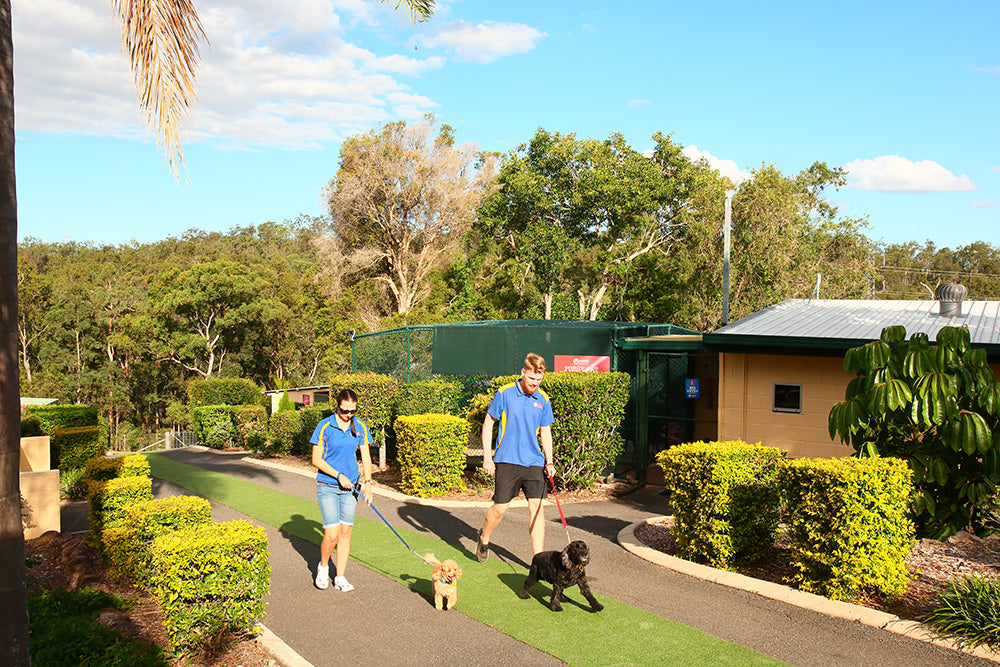 D2N delivers integrated radio communications for Samford Pet Resort